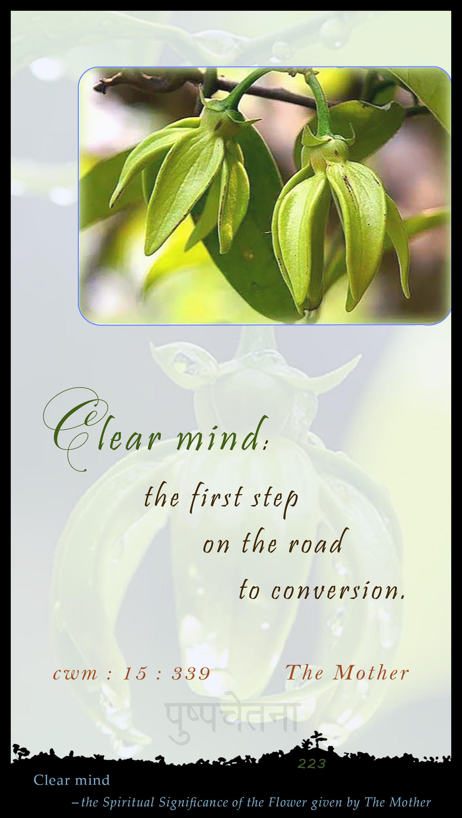 Clear Mind